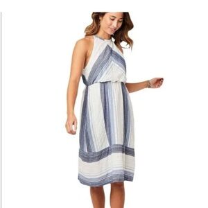 Carve Designs Sleeveless Blue and White Striped Halter Midi Dress